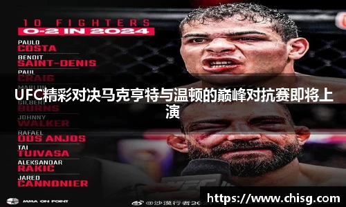 球速体育